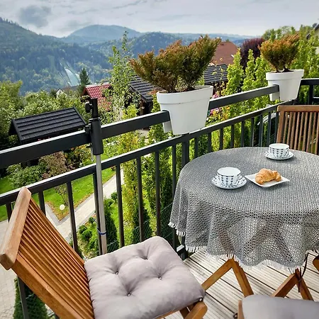 Jenny: Ski, Bike & Mountain Views Apartment Szczyrk