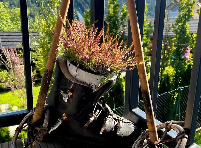 Jenny: Ski, Bike & Mountain Views